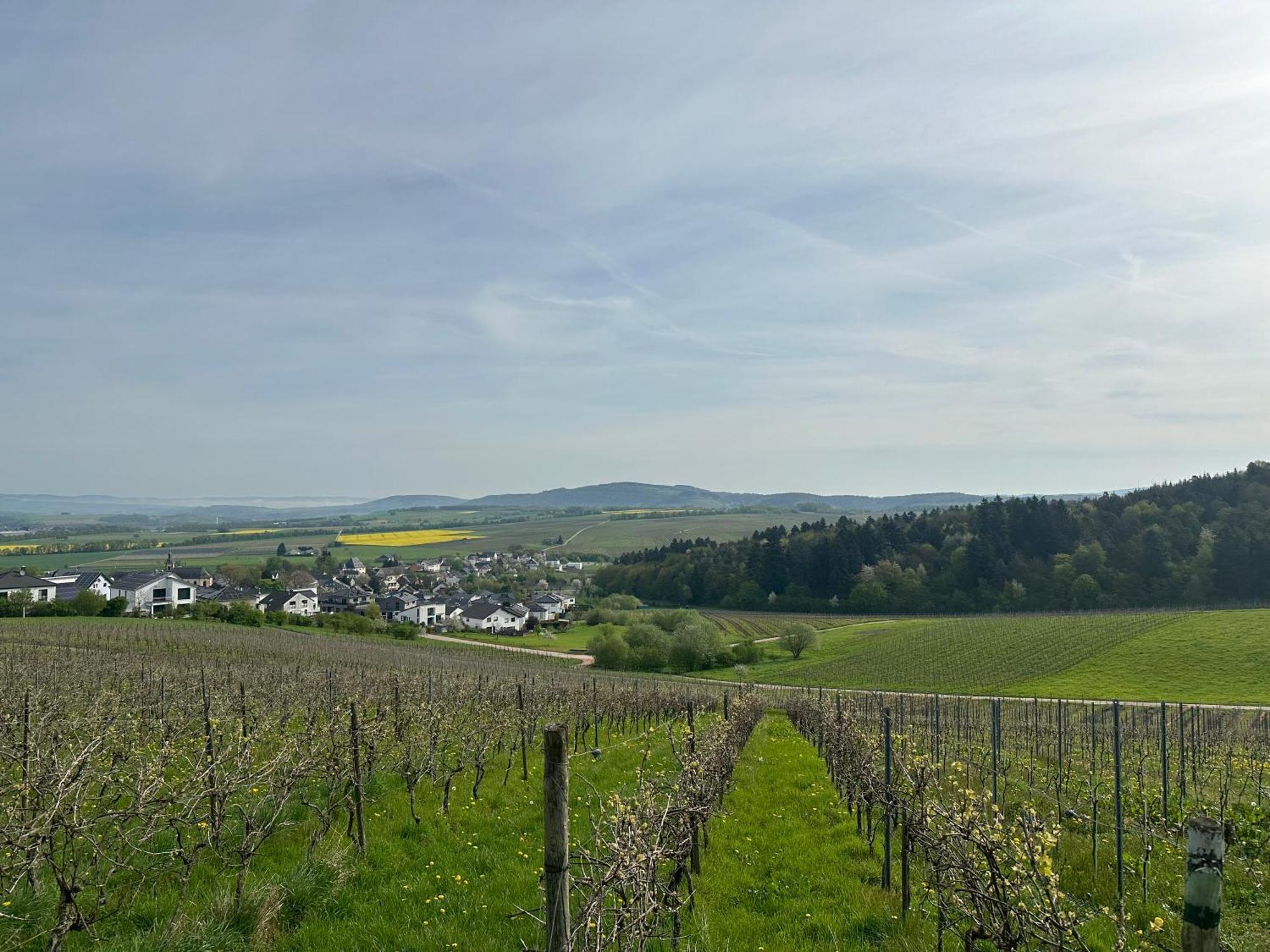 Ferienwohnung Moselherz - Urlaub Im Wein- Und Ferienort Bekond Ngoại thất bức ảnh