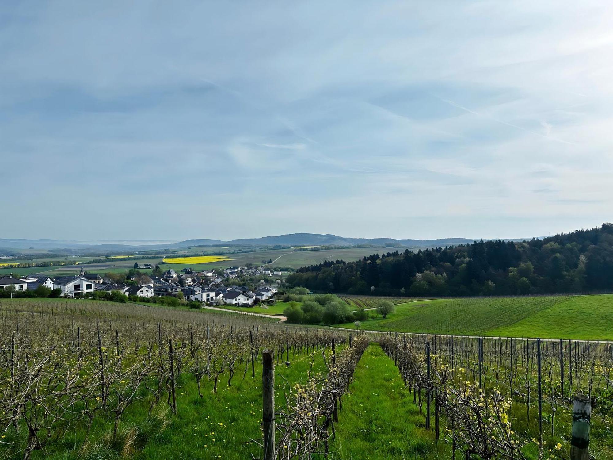 Ferienwohnung Moselherz - Urlaub Im Wein- Und Ferienort Bekond Ngoại thất bức ảnh